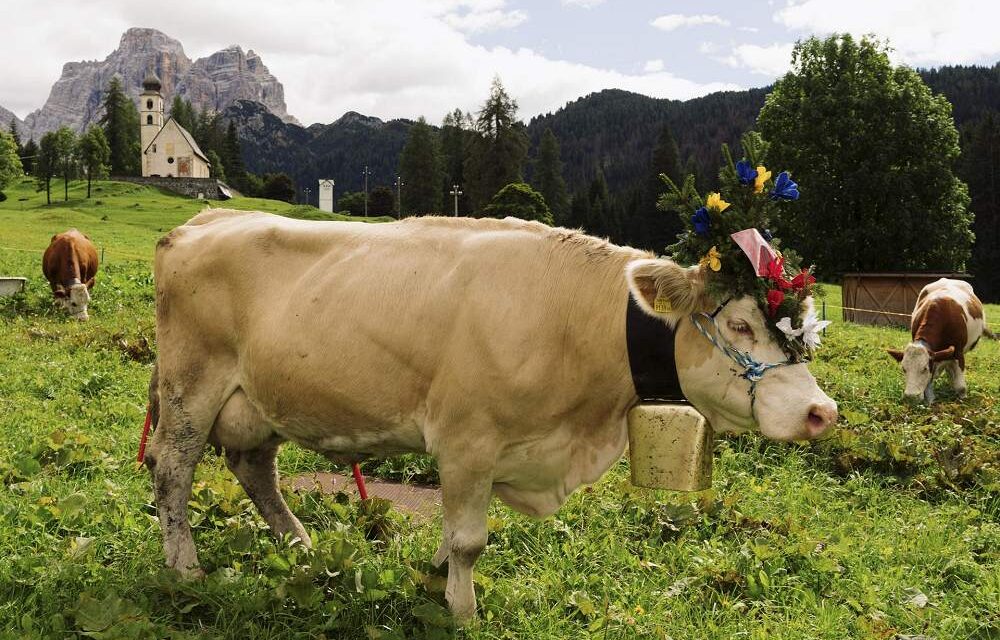 Dolomiti Bellunesi, l’estate 2026 fa il pieno di eventi: dalla mostra del Tiziano ai grandi concerti tra le vette