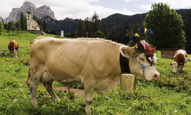 Dolomiti Bellunesi, l’estate 2026 fa il pieno di eventi: dalla mostra del Tiziano ai grandi concerti tra le vette