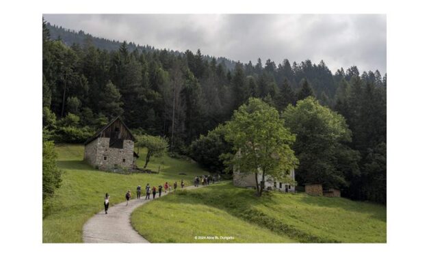 Estensioni: alla scoperta di boschi, borghi e tesori d’arte in Val Pesarina
