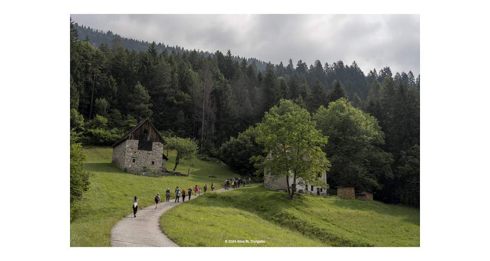 Estensioni: alla scoperta di boschi, borghi e tesori d’arte in Val Pesarina
