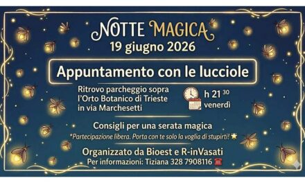 “NOTTE MAGICA. Appuntamento con le LUCCIOLE”