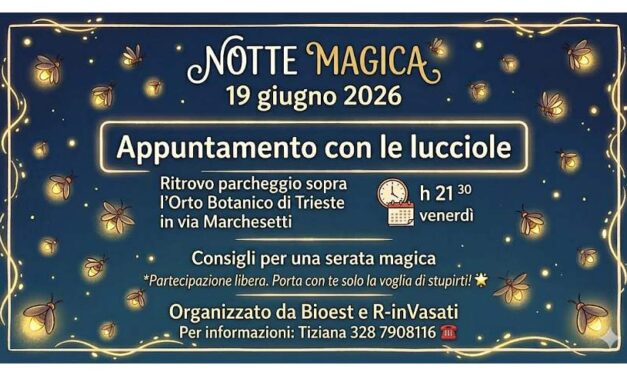 “NOTTE MAGICA. Appuntamento con le LUCCIOLE”
