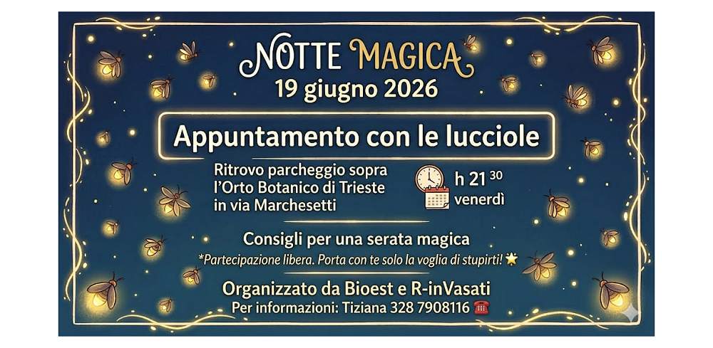 “NOTTE MAGICA. Appuntamento con le LUCCIOLE”