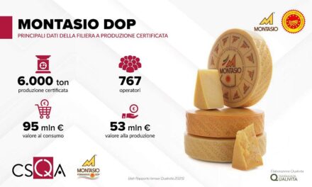 Montasio DOP: una filiera da 95 milioni € al consumo e 767 operatori