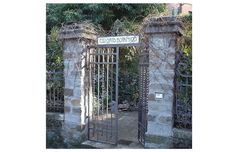DOMENICA 21 GIUGNO ALLE ORE 10 PASSEGGIATA ALL’ORTO BOTANICO