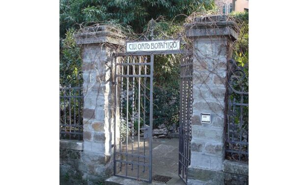 DOMENICA 21 GIUGNO ALLE ORE 10 PASSEGGIATA ALL’ORTO BOTANICO