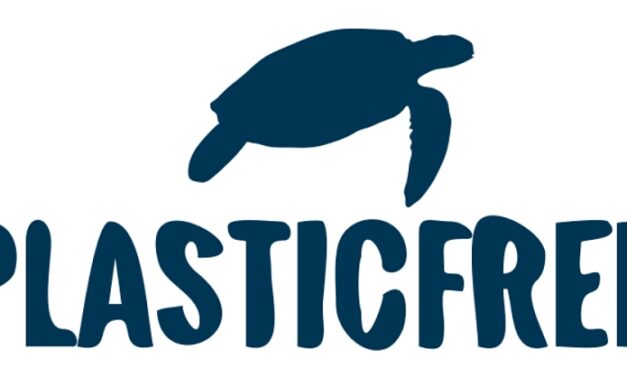 Ambiente: Comuni Plastic Free 2027, aperte le candidature
