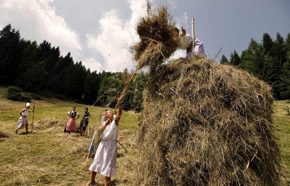 Fasjn la mede: a Sutrio festa della fienagione nei prati dello Zoncolan