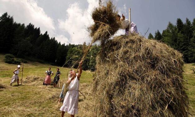 Fasjn la mede: a Sutrio festa della fienagione nei prati dello Zoncolan