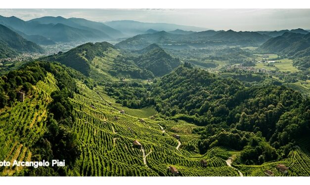 Origine e futuro di una eccellenza italiana: il Conegliano Valdobbiadene Prosecco Superiore