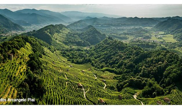 Colline del Prosecco di Conegliano e Valdobbiadene: 7 anni di crescita