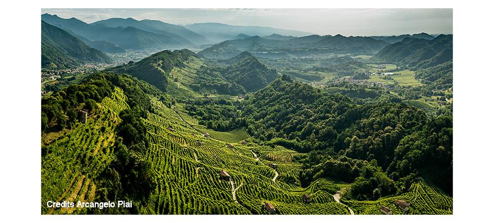 Colline del Prosecco di Conegliano e Valdobbiadene: 7 anni di crescita