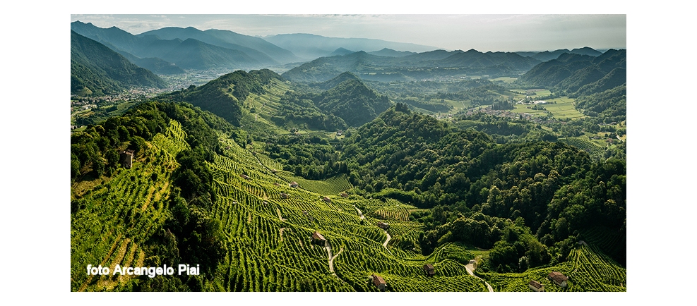 Origine e futuro di una eccellenza italiana: il Conegliano Valdobbiadene Prosecco Superiore