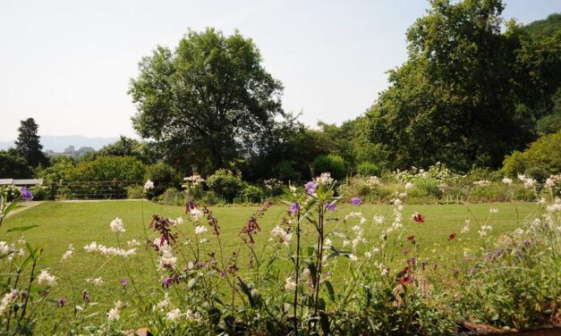 ASPETTANDO L’ESTATE: SETTIMANA RICCA DI EVENTI AL GIARDINO VIATORI DI GORIZIA