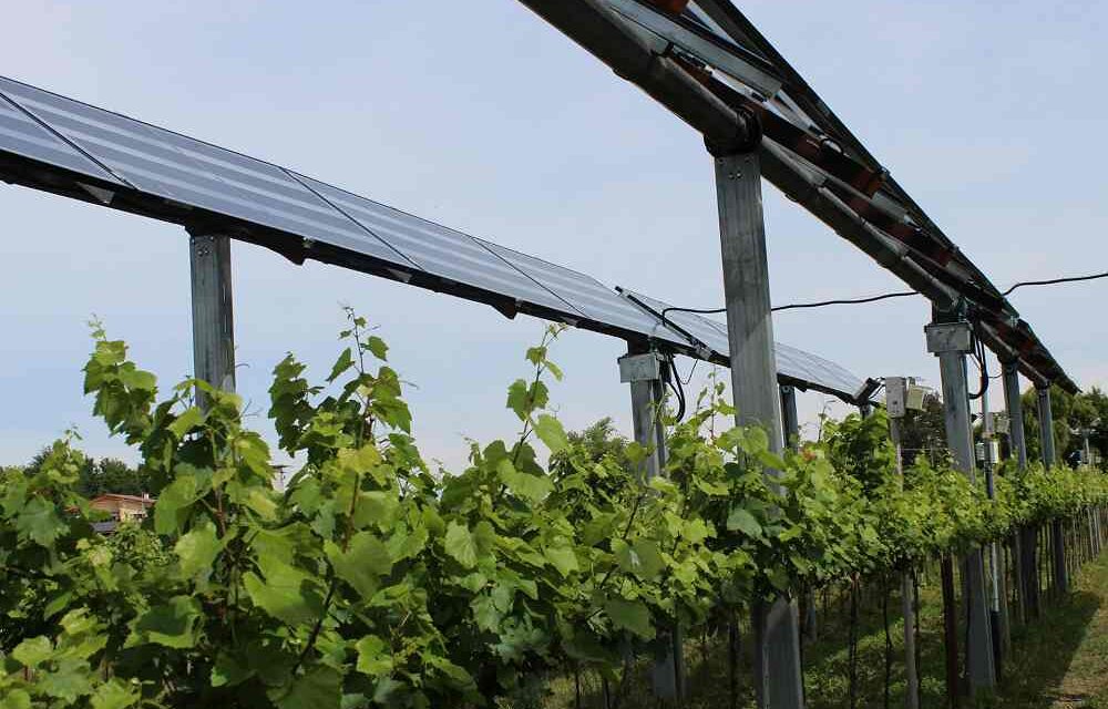Ape Fvg: la tutela del suolo agricolo prevale sulla produzione energetica
