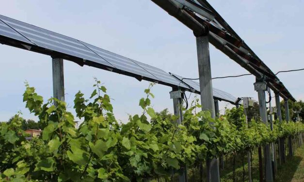 Ape Fvg: la tutela del suolo agricolo prevale sulla produzione energetica