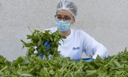 Dal campo di basilico al vasetto di Pesto: il modello Barilla per la qualità e la sicurezza alimentare