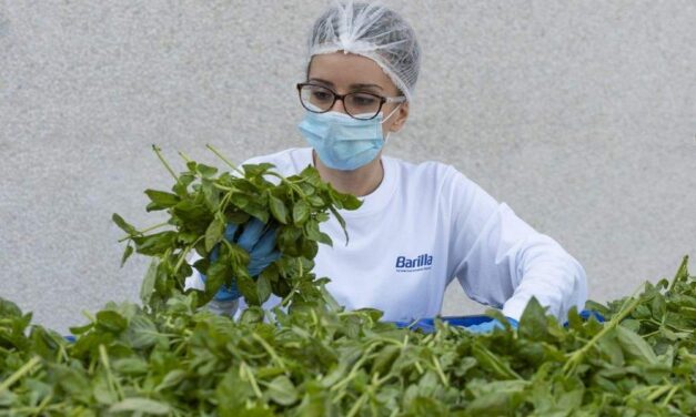 Dal campo di basilico al vasetto di Pesto: il modello Barilla per la qualità e la sicurezza alimentare