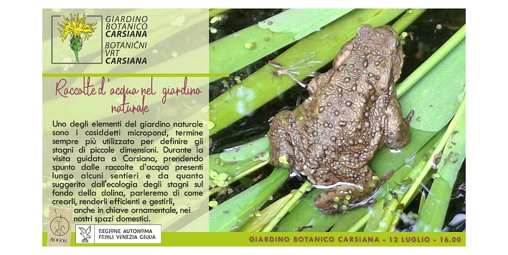 Raccolte d’acqua nel giardino naturale al Giardino botanico Carsiana