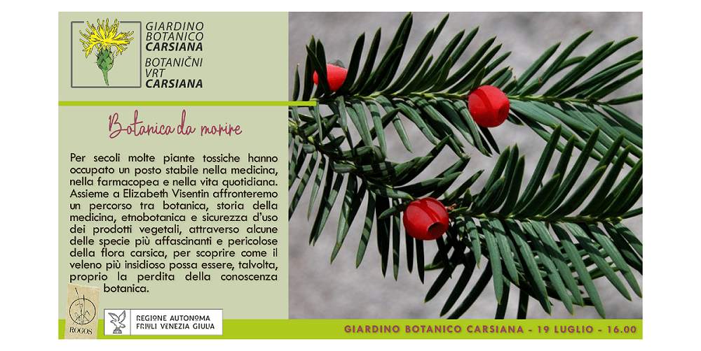 Botanica da morire al Giardino botanico Carsiana