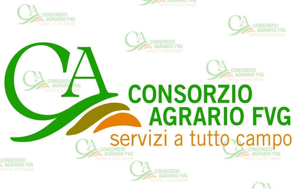 Il Consorzio Agrario FVG entra ufficialmente in Consorzi Agrari d’Italia (CAI)