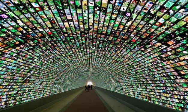 Digital Art Gallery di Gorizia: NUOVI ORARI dal 3 agosto al 30 settembre 2026