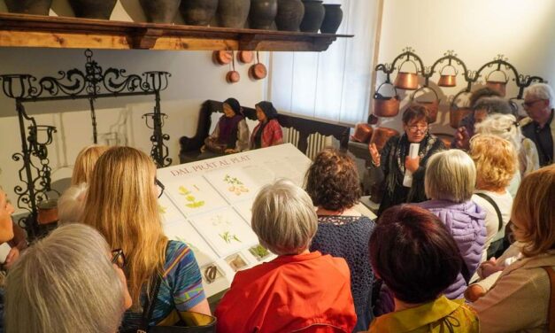 TOLMEZZO, MUSEO CARNICO DELLE ARTI POPOLARI “MICHELE GORTANI”: A LUGLIO TRE APPUNTAMENTI PER VIVERE E SCOPRIRE LA MOSTRA “STORIE DI ERBE” TRA SAPORI, ARTE E CREATIVITÀ