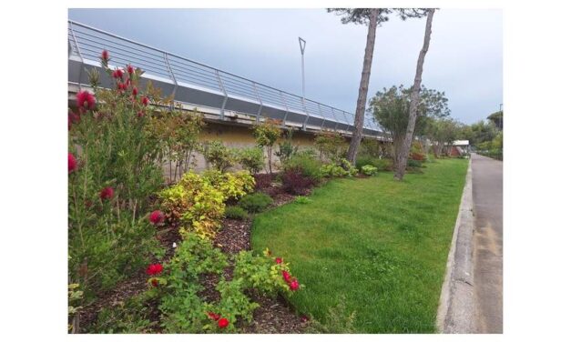 Oltre 3.300 piante per il nuovo percorso botanico del Lungomare Kechler di Lignano Pineta