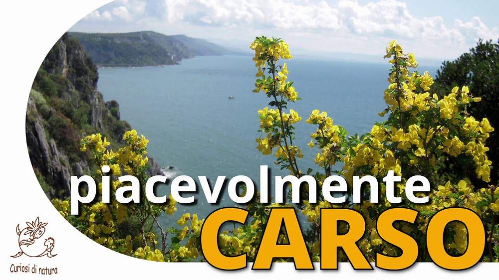 PER “PIACEVOLMENTE CARSO” SABATO 18 LUGLIO CAMMINATA “OMAGGIO A JULIUS KUGY”
