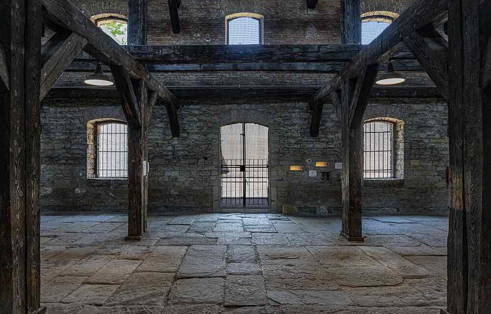 TUTTI I SABATI DI AGOSTO VISITE GUIDATE ALLA RISIERA DI SAN SABBA
