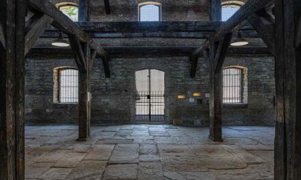 TUTTI I SABATI DI AGOSTO VISITE GUIDATE ALLA RISIERA DI SAN SABBA