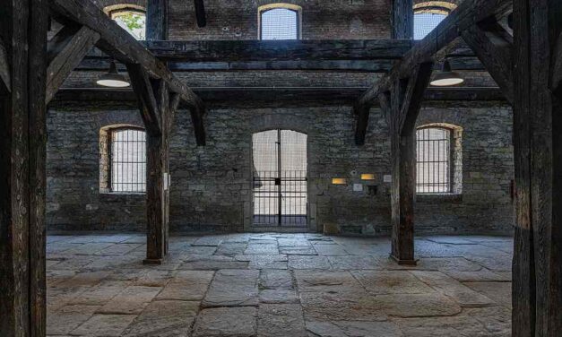 TUTTI I SABATI DI AGOSTO VISITE GUIDATE ALLA RISIERA DI SAN SABBA