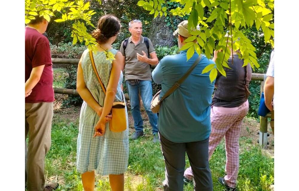 Uccelli in città: adattamenti e habitat: una passeggiata guidata tra osservazione e ascolto per scoprire l’avifauna del Giardino di via Orlandini, a Trieste