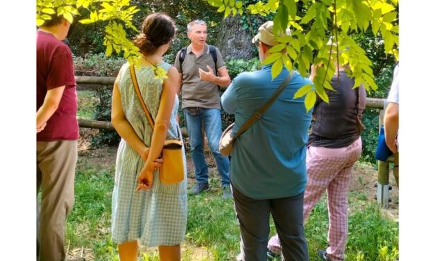 Uccelli in città: adattamenti e habitat: una passeggiata guidata tra osservazione e ascolto per scoprire l’avifauna del Giardino di via Orlandini, a Trieste