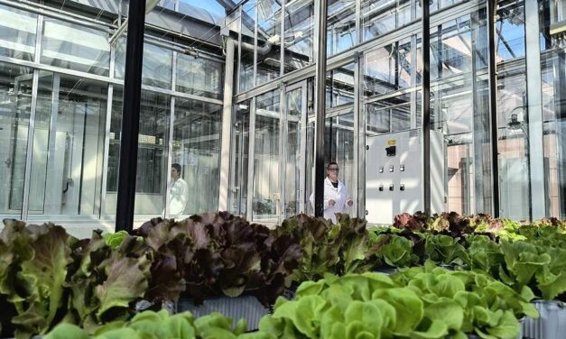 PHENO LAB E PHENO SPACE, PER STUDIARE IL FUTURO DELLE PIANTE NASCE ALL’UNIVERSITÀ DI UDINE UNA DELLE PIÙ COMPLETE PIATTAFORME DI RICERCA ITALIANE