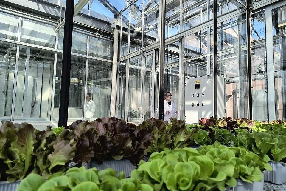 PHENO LAB E PHENO SPACE, PER STUDIARE IL FUTURO DELLE PIANTE NASCE ALL’UNIVERSITÀ DI UDINE UNA DELLE PIÙ COMPLETE PIATTAFORME DI RICERCA ITALIANE