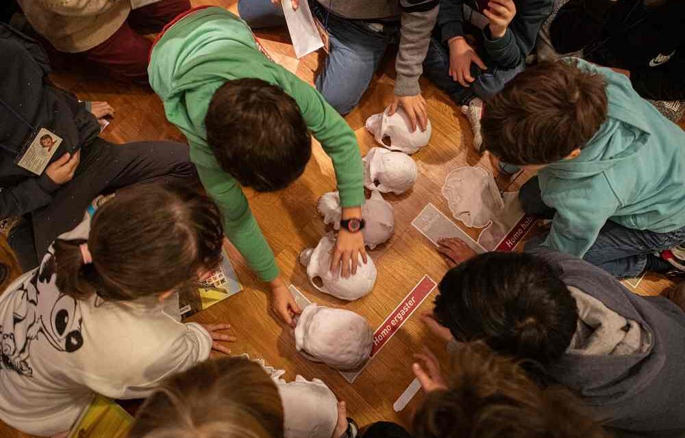 EDU DAY 2026: SABATO 12 SETTEMBRE AL SARTORIO, I MUSEI CIVICI DI TRIESTE E COOPCULTURE INCONTRANO LA SCUOLA