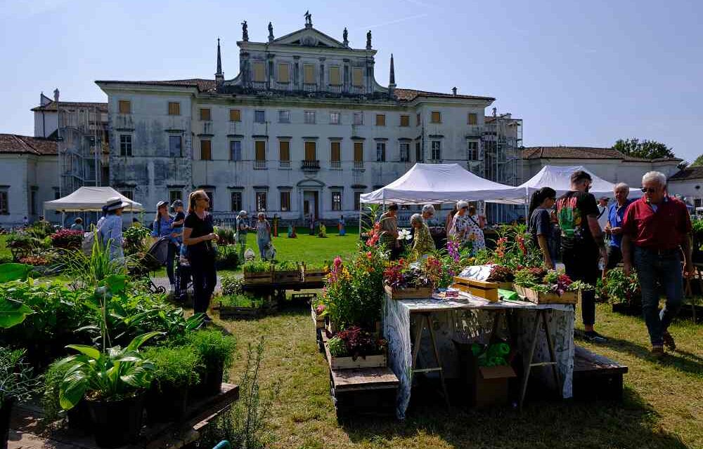 SABATO 5 E DOMENICA 6 SETTEMBRE LA XXIII EDIZIONE DELLA RASSEGNA “NEL GIARDINO DEL DOGE MANIN”: FLOROVIVAISMO, LIBRI, LABORATORI, VISITE GUIDATE E SAPORI DEL TERRITORIO