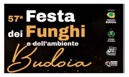 A Budoia si cercano volontari per la 57ª Festa dei Funghi e dell’Ambiente dall’11 al 13 e dal 18 al 20 settembre