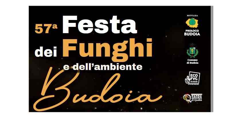 A Budoia si cercano volontari per la 57ª Festa dei Funghi e dell’Ambiente dall’11 al 13 e dal 18 al 20 settembre