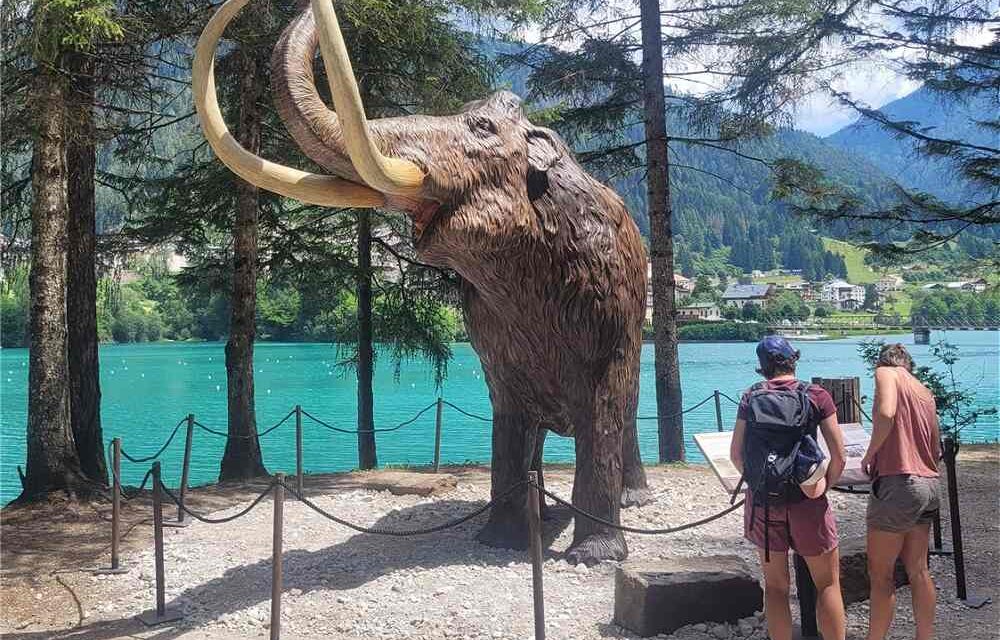 Auronzo Tre Cime: dai Dinosauri ai mammut, la storia continua