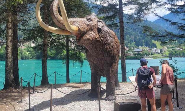 Auronzo Tre Cime: dai Dinosauri ai mammut, la storia continua