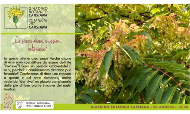 Le specie aliene: invasioni botaniche? Se ne parla al Giardino botanico Carsiana