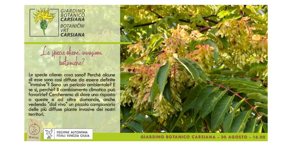 Le specie aliene: invasioni botaniche? Se ne parla al Giardino botanico Carsiana