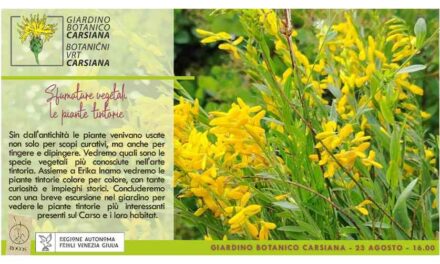 Sfumature vegetali: le piante tintorie al Giardino botanico Carsiana