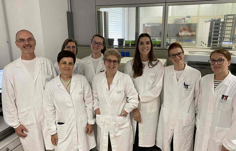 Sarcomi: scoperto un meccanismo che rende alcuni tumori resistenti alle terapie