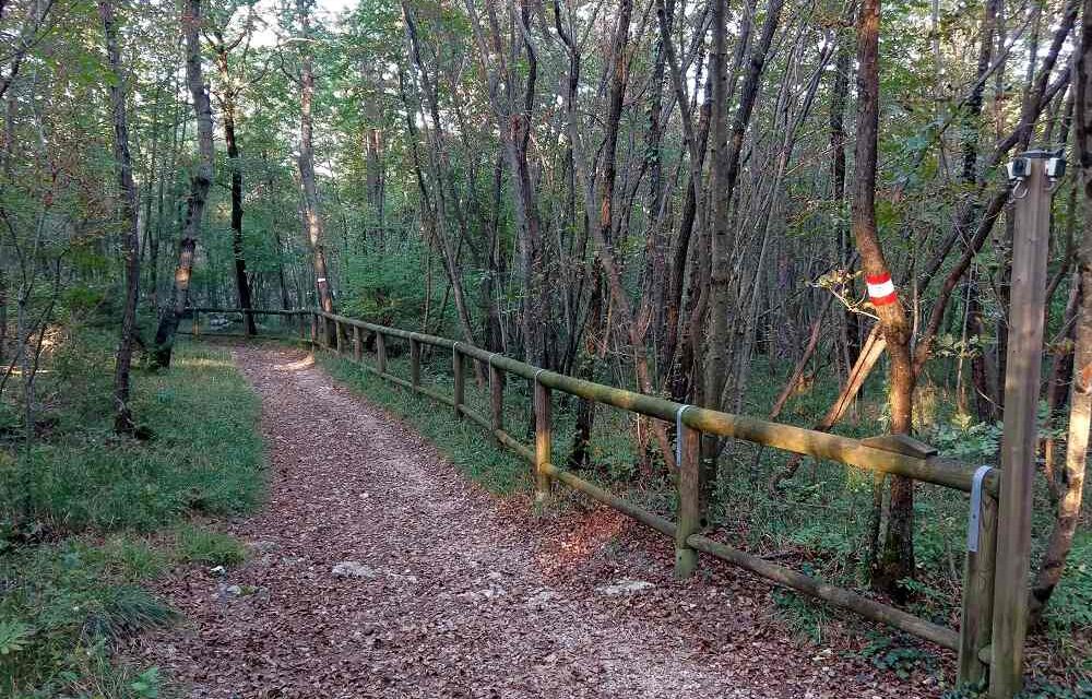 “PIACEVOLMENTE CARSO” CON CURIOSI DI NATURA ORGANIZZA PER DOMENICA 6 SETTEMBRE L’ESCURSIONE: LA FAUNA A BASOVIZZA