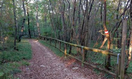 “PIACEVOLMENTE CARSO” CON CURIOSI DI NATURA ORGANIZZA PER DOMENICA 6 SETTEMBRE L’ESCURSIONE: LA FAUNA A BASOVIZZA