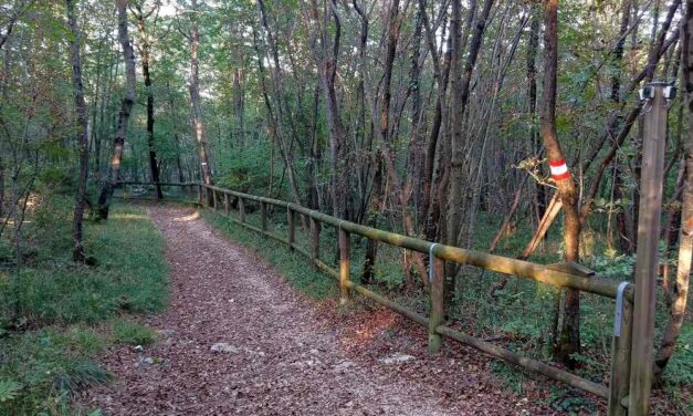 “PIACEVOLMENTE CARSO” CON CURIOSI DI NATURA ORGANIZZA PER DOMENICA 6 SETTEMBRE L’ESCURSIONE: LA FAUNA A BASOVIZZA