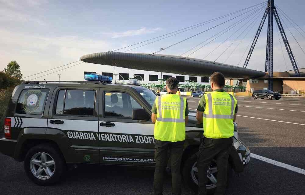 Federcaccia Fvg, controlli rafforzati contro l’abbandono degli animali e per la sicurezza dei cani